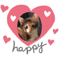 くんたさんちの犬猫