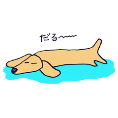 うちのダックスちゃん