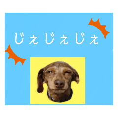 ダックス岩手弁