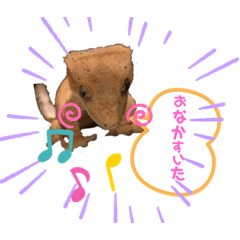 うちのヤモリーズスタンプ