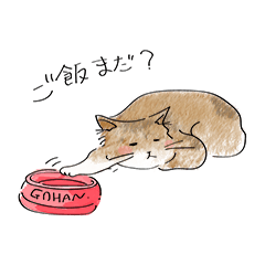 ゆるねこちゃんたち