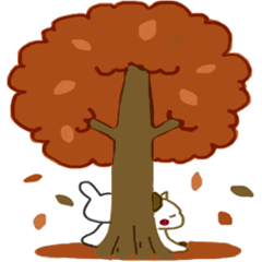 小生意気な白うさとぶちネコ