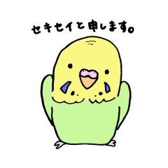 セキセイインコと申します
