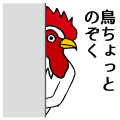 鳥ちょっとのぞく