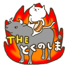 島のニャンコさん