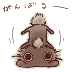 ぬいぐるみのBeluche