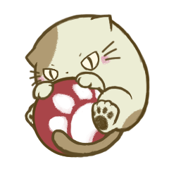 ぽこにゃんず～日常編～