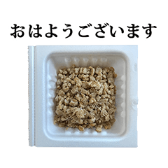ひきわり納豆　と　敬語