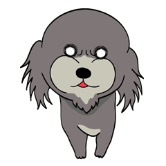 コワプー クロの日常