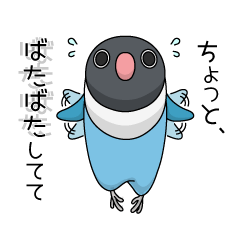 うちのこ、しーちゃん。