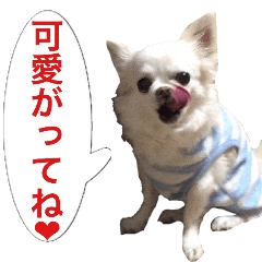 サンキューおっさんとゆかいな仲間達 20