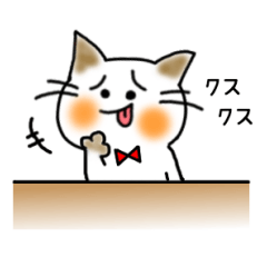 白ねこプー太
