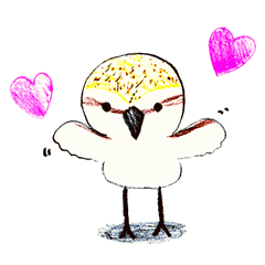 シロチドリさん