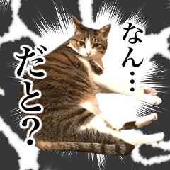 リアルごろんたぴーすけのスタンプ