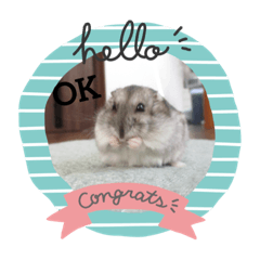 ハムスターのスタンプ‼︎