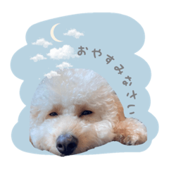 ムウくんシリーズ