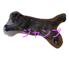 RUIちゃんスタンプ