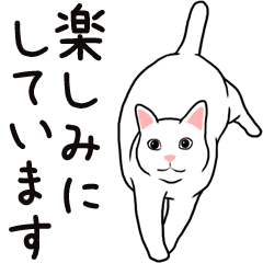 飛び出す！アクロバティックねこ