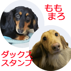 ももタンとまろんくん