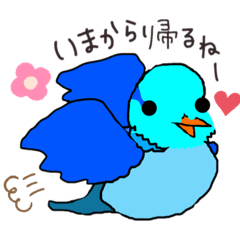 青いマメルリハ