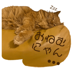 レオしゃんもっふん