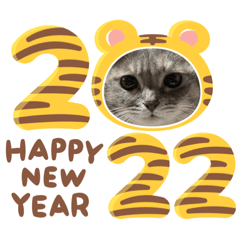 こまりの気持ち(正月編)