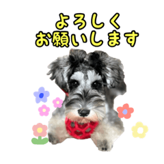 超・使いやすいミニシュナスタンプ