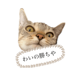 ごますたんぷ屋さん