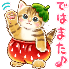 ちっちゃい猫のスタンプ☆丁寧なことば