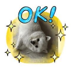 小学生がかわいいと思うこと