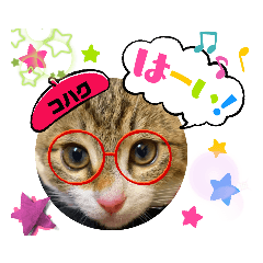 コハクの癒しの日常