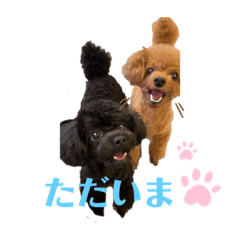 親バカ部　モコララ