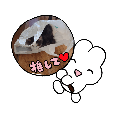 にゃんこの気まぐれ