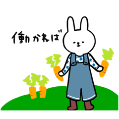 うさぎの生活。