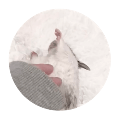 おこめちゃんといっしょ！