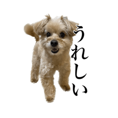 やさしい愛の犬スタンプ