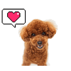 うちのかわいいエマちゃんスタンプ