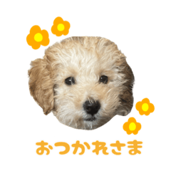 ゆかいなちぃちゃん