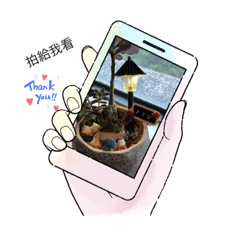 Willis_20230712212158