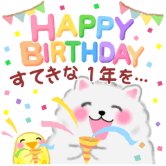 ポメラニアンぽちゃん「長文」