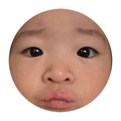 Lemon_20231117121157