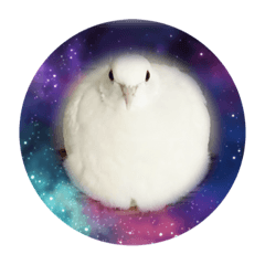 ワンタンと愉快な仲間たち