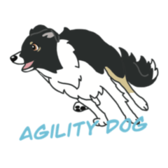 ジンとトコのアジリティー日記