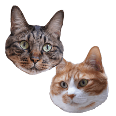 やんちゃんぷりんちゃんスタンプ