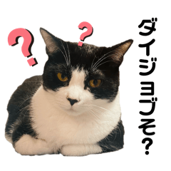 クロネコハチワレゆるゆるスタンプpart 2