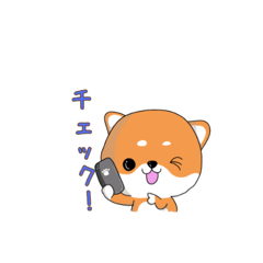 柴犬のチャタロウ