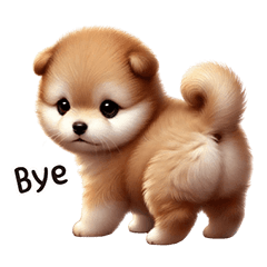 かわいい子犬の日常だわん