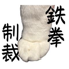 まんじゅう兄弟(こしあんと白あん)