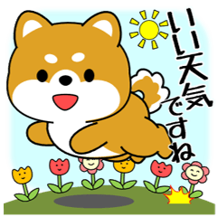 飛び出す！豆柴の敬語スタンプ