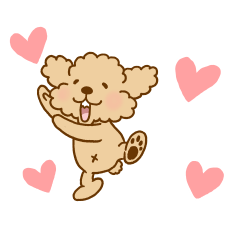 動け！トイプーのぷう太郎6